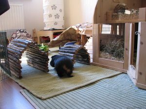 img_0880u90ok